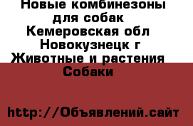 Новые комбинезоны для собак - Кемеровская обл., Новокузнецк г. Животные и растения » Собаки   